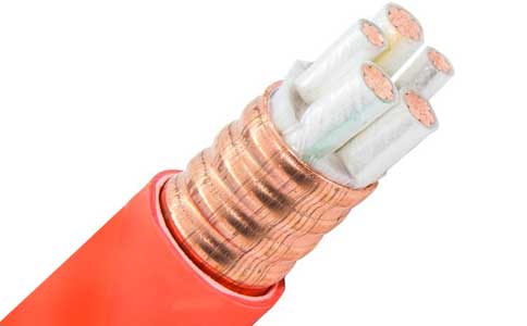 <a href='http://www.amoywine.cn/kuangwuzhidianlan/' target='_blank'><u>礦物質(zhì)電纜</u></a>