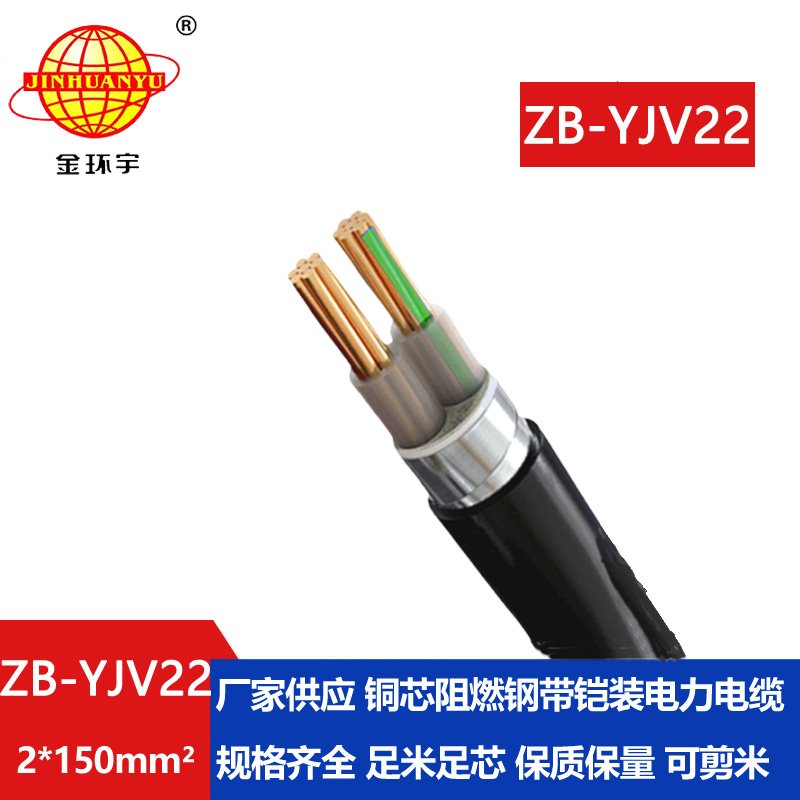 金環(huán)宇電纜 ZB-YJV22-2X150平方 銅芯阻燃鎧裝交聯電